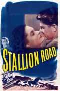 Película Stallion Road