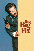 Película The Big Fix