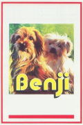 Película Benji