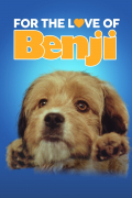 Película For the Love of Benji