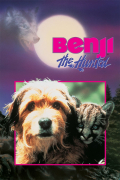 Película Benji the Hunted