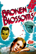 Película Broken Blossoms