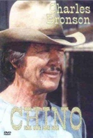 Caballos salvajes