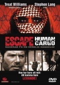 Película Escape: Human Cargo