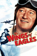 Película The Wings of Eagles