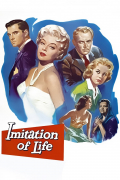 Película Imitation of Life