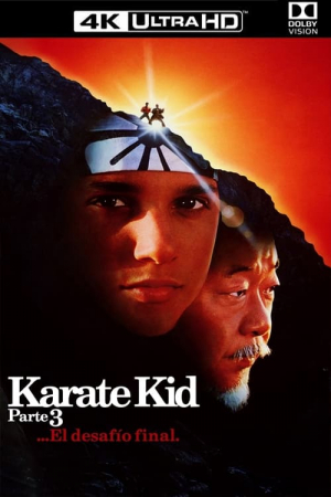 Karate Kid III: El desafío final