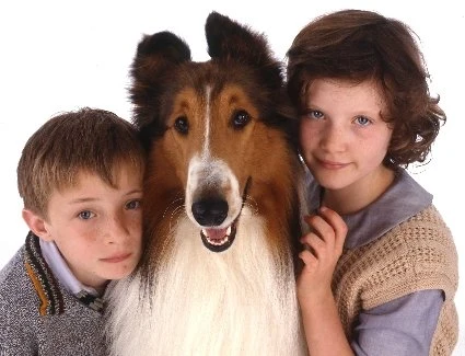 Lassie