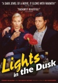 Lights in the Dusk