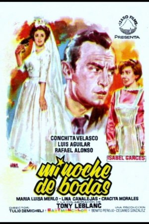 Mi noche de bodas