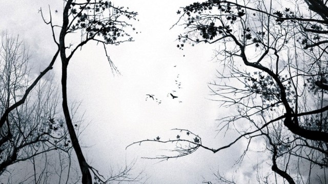 Premonition (7 días)