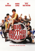 Película Big Brother Trouble