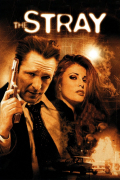 Película The Stray