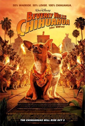 Un chihuahua en Beverly Hills