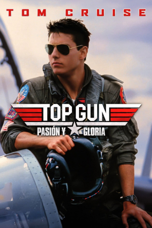 Top Gun: Ídolos del aire