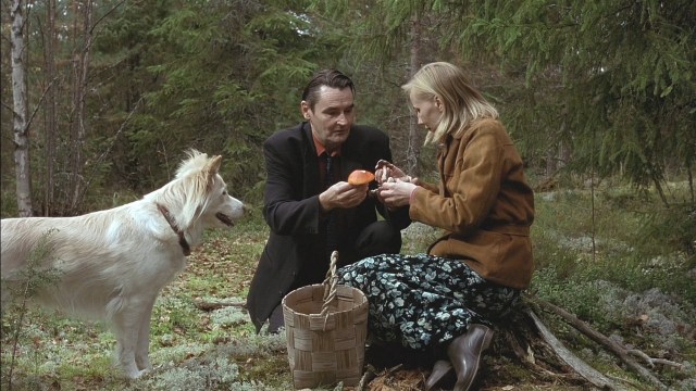 Película peliculas/7422/fondo_640.jpg