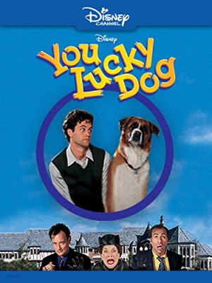 Un perro con suerte