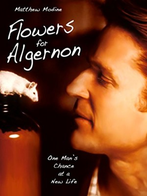 Flores para Algernon