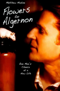 Película Flowers for Algernon