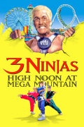 Película 3 Ninjas: High Noon at Mega Mountain