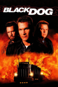 Película Black Dog