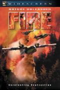 Película Fire