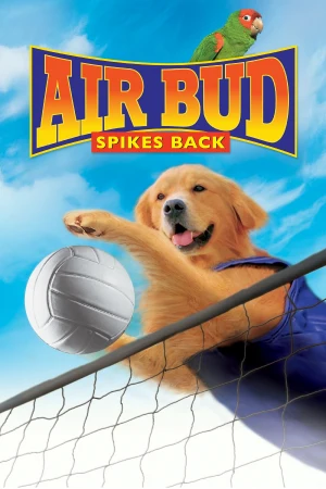 Air Bud V: Buddy golpea de nuevo
