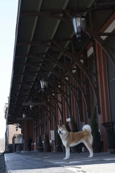 Siempre a tu lado (Hachiko)