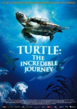 El Viaje De La Tortuga