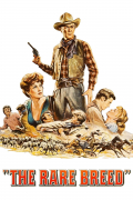 Película The Rare Breed