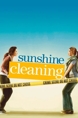 Sunshine Cleaning Sunshine Cleaning