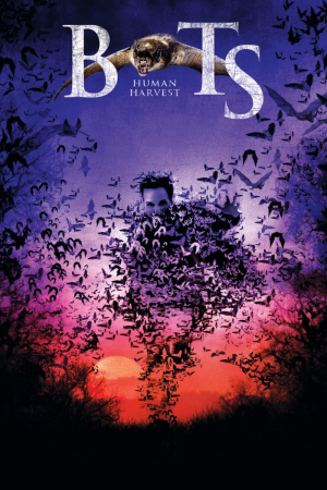 Bats 2 Murciélagos