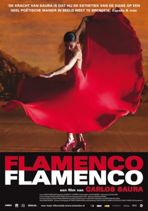 Flamenco, Flamenco