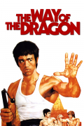 Película The Way of the Dragon