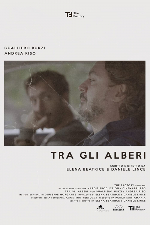 Tra gli alberi