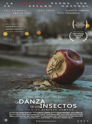 La danza de los insectos