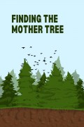 Película Finding the Mother Tree