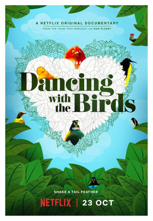 Bailando con los pájaros