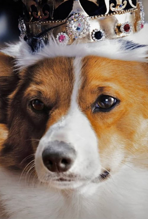 Netflix - The Crown: Kneel Before Your Queen