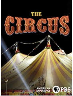 The Circus