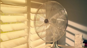 Oscillating Fan for Your Home