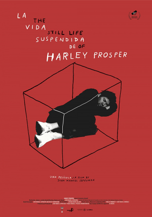 La vida suspendida de Harley Prosper