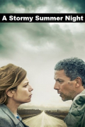 Película A Stormy Summer Night
