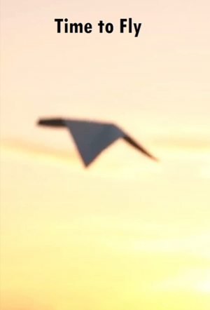 Time to fly