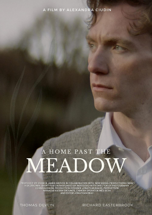 A Home Past the Meadow