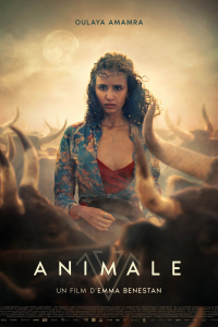 Bullgirl (Animale)