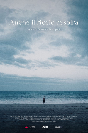 Anche il Riccio Respira
