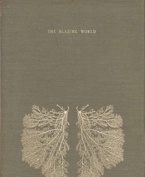 The Blazing World