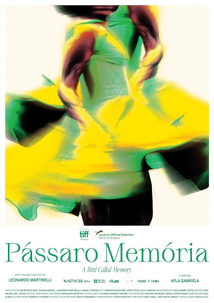 Pássaro Memória Pássaro Memória