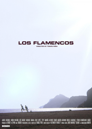 Los Flamencos
